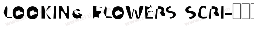 Looking Flowers Scri字体转换